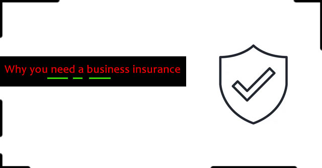 A Business Case for Insurance